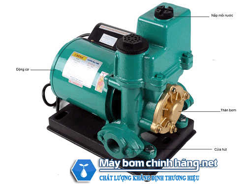 Máy bơm nước chân không Sena SEP 251E (250w)